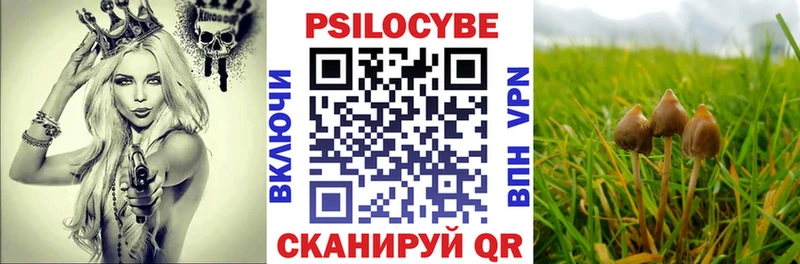 где купить наркоту  Люберцы  Галлюциногенные грибы Magic Shrooms 